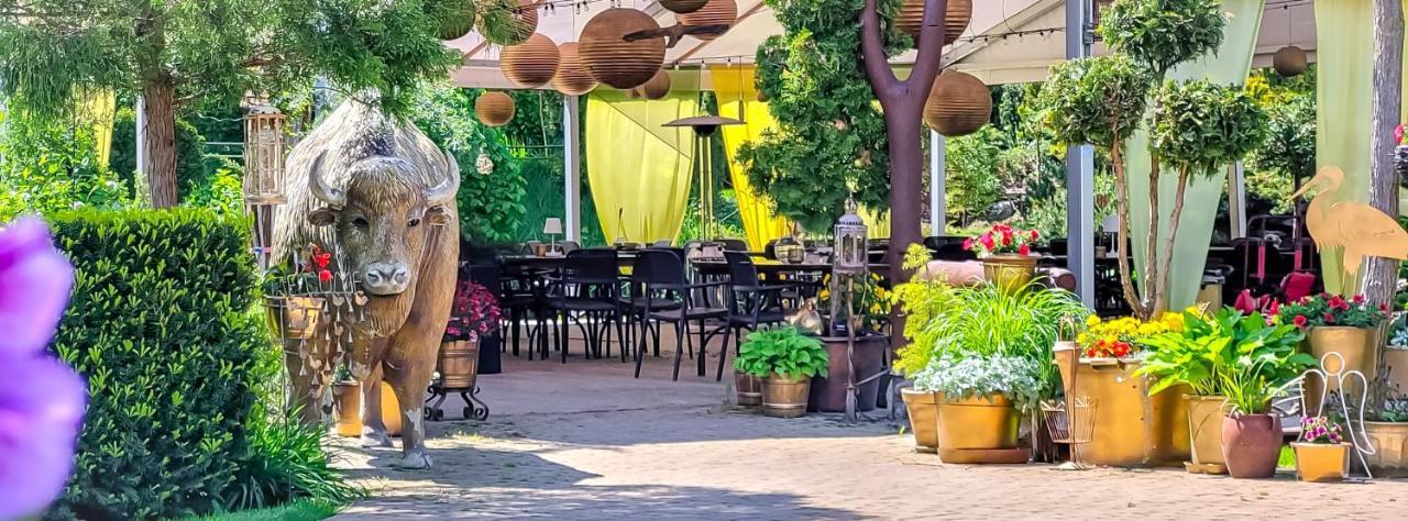 Hotel Kaktusik Augustów Esterno foto