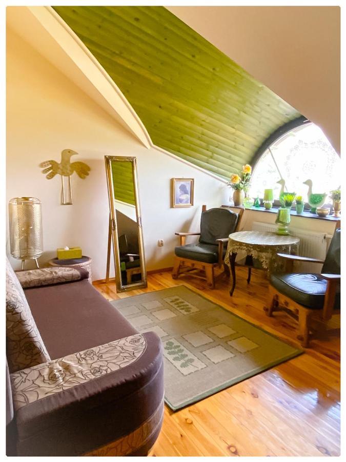Hotel Kaktusik Augustów Esterno foto